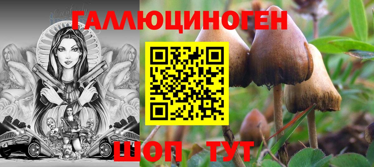 Галлюциногенные грибы Cubensis Азов